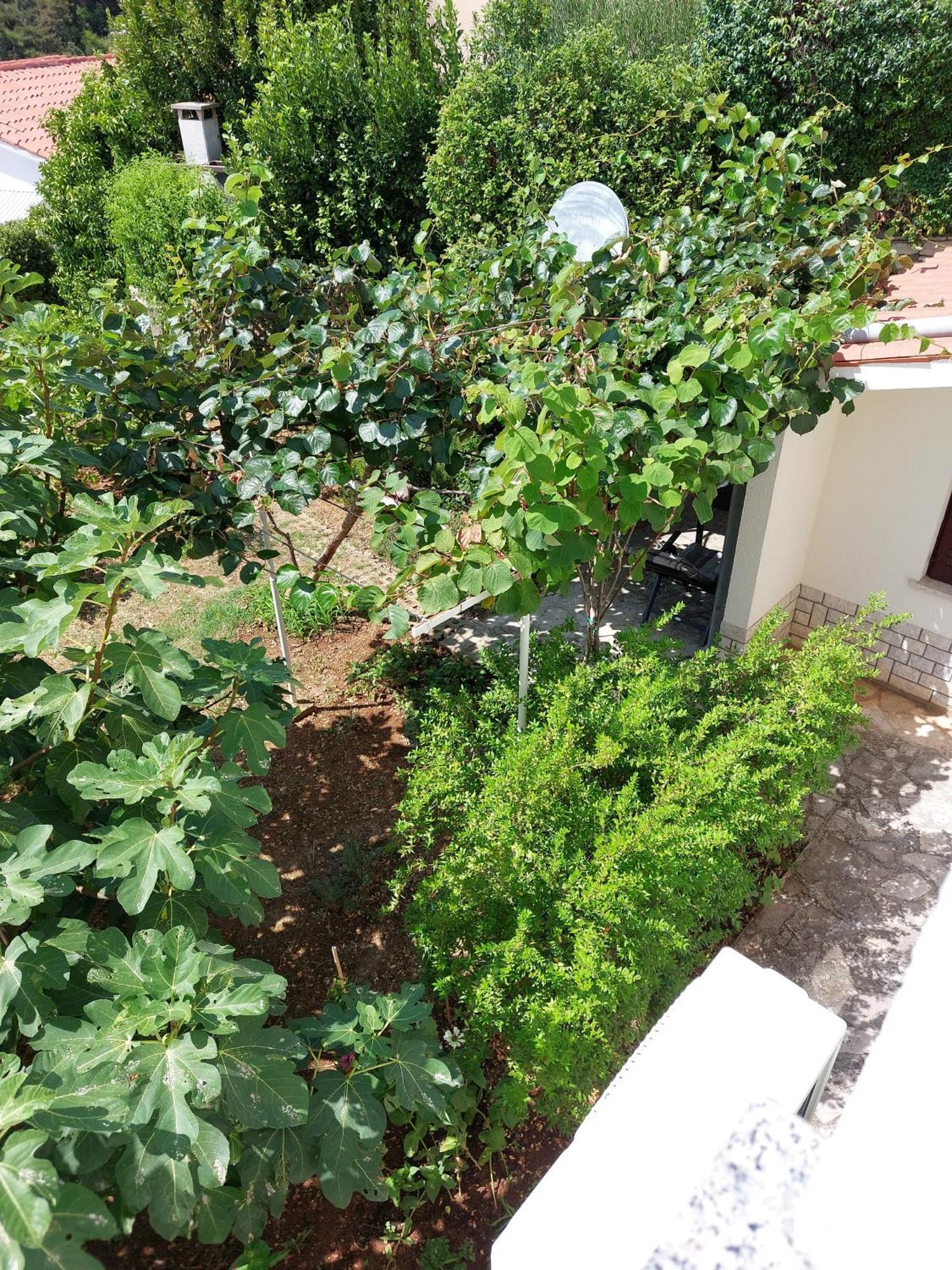 Apartment Kiwi Rabac Bagian luar foto